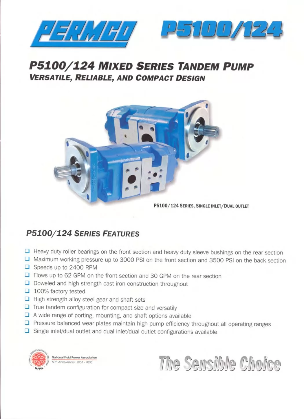 Permco P5100/P124 tandem pump series brochure — reference image, not an exact 1115432006 product photograph