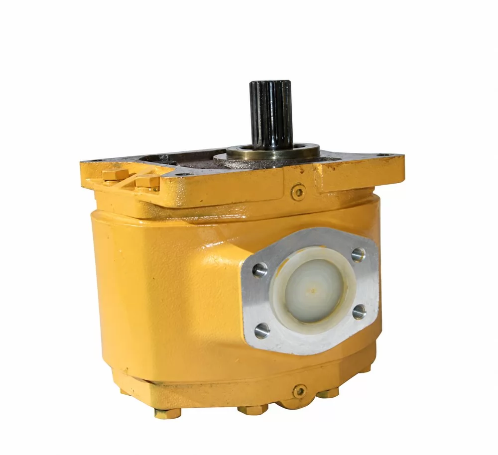 W-01-00141 CBGJ1045 Changlin pump - angled housing and mounting flange reference view