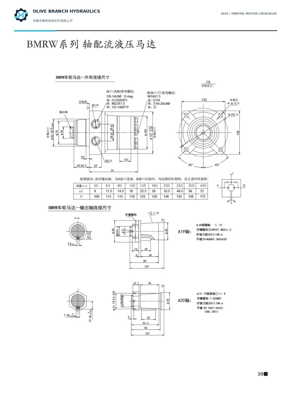 BMRW F8 wheel-mount installation and A19 A20 tapered shaft dimensions - catalogue page 30