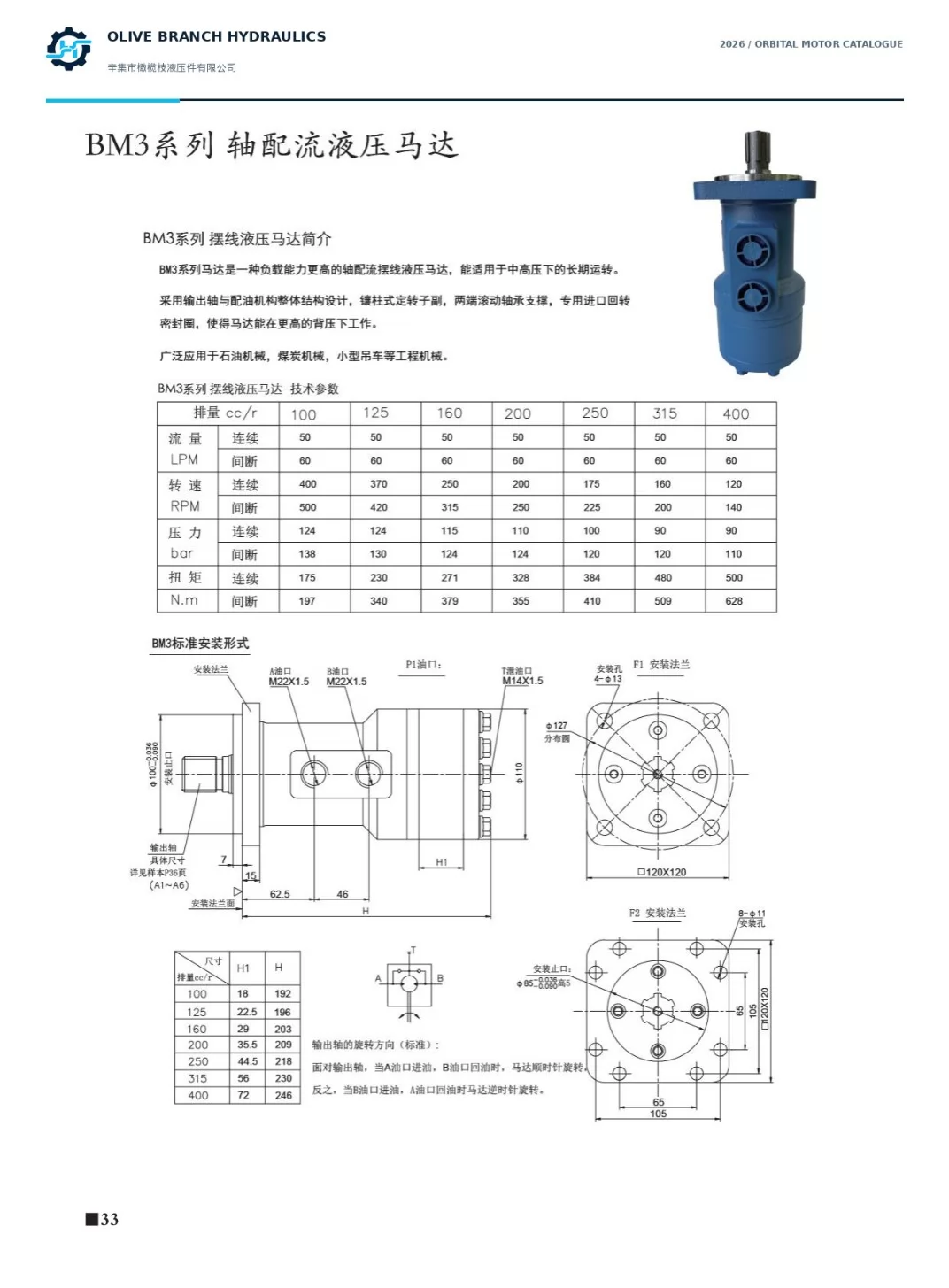 BM3 catalogue performance table and standard installation dimensions F1 F2 P1