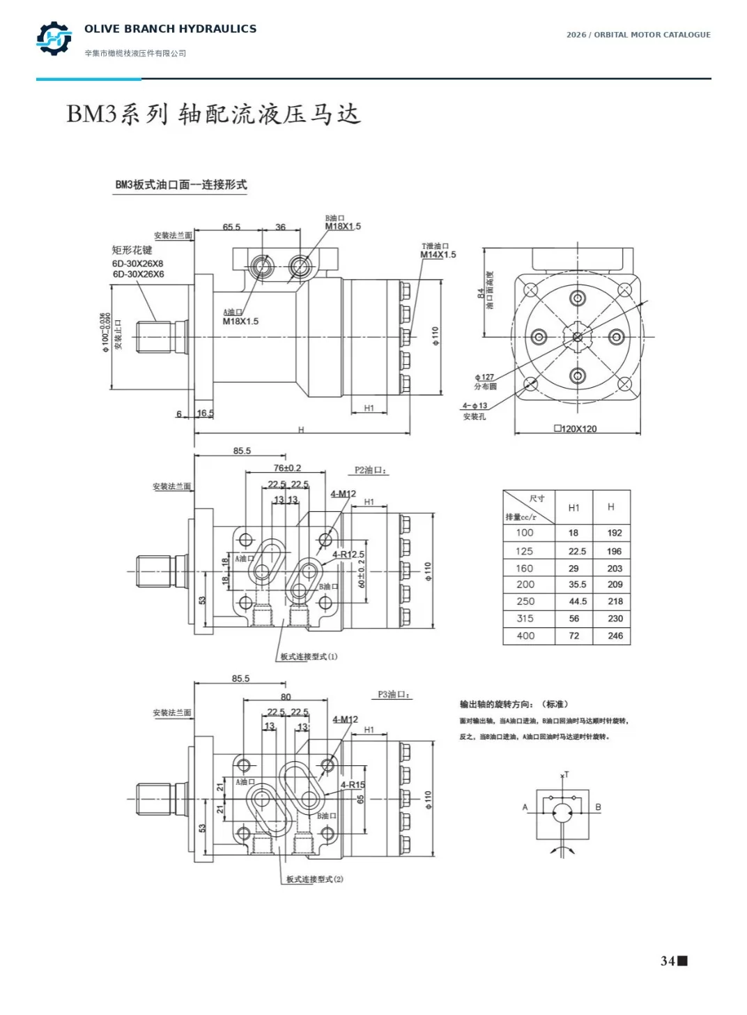 BM3 P2 P3 plate connection port interface drawings and installation dimensions