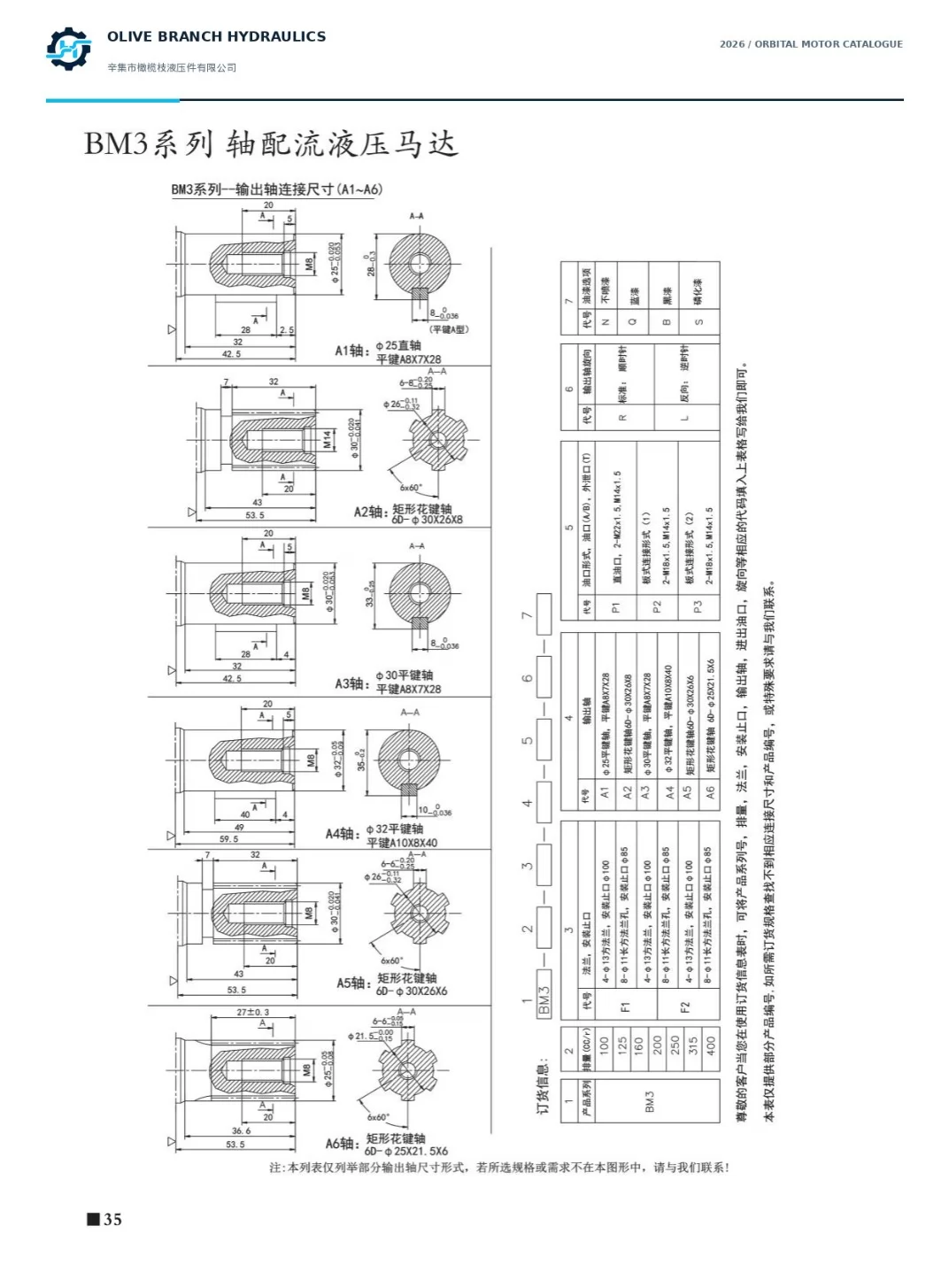 BM3 A1 A2 A3 A4 A5 A6 shaft dimensions and manufacturer ordering fields