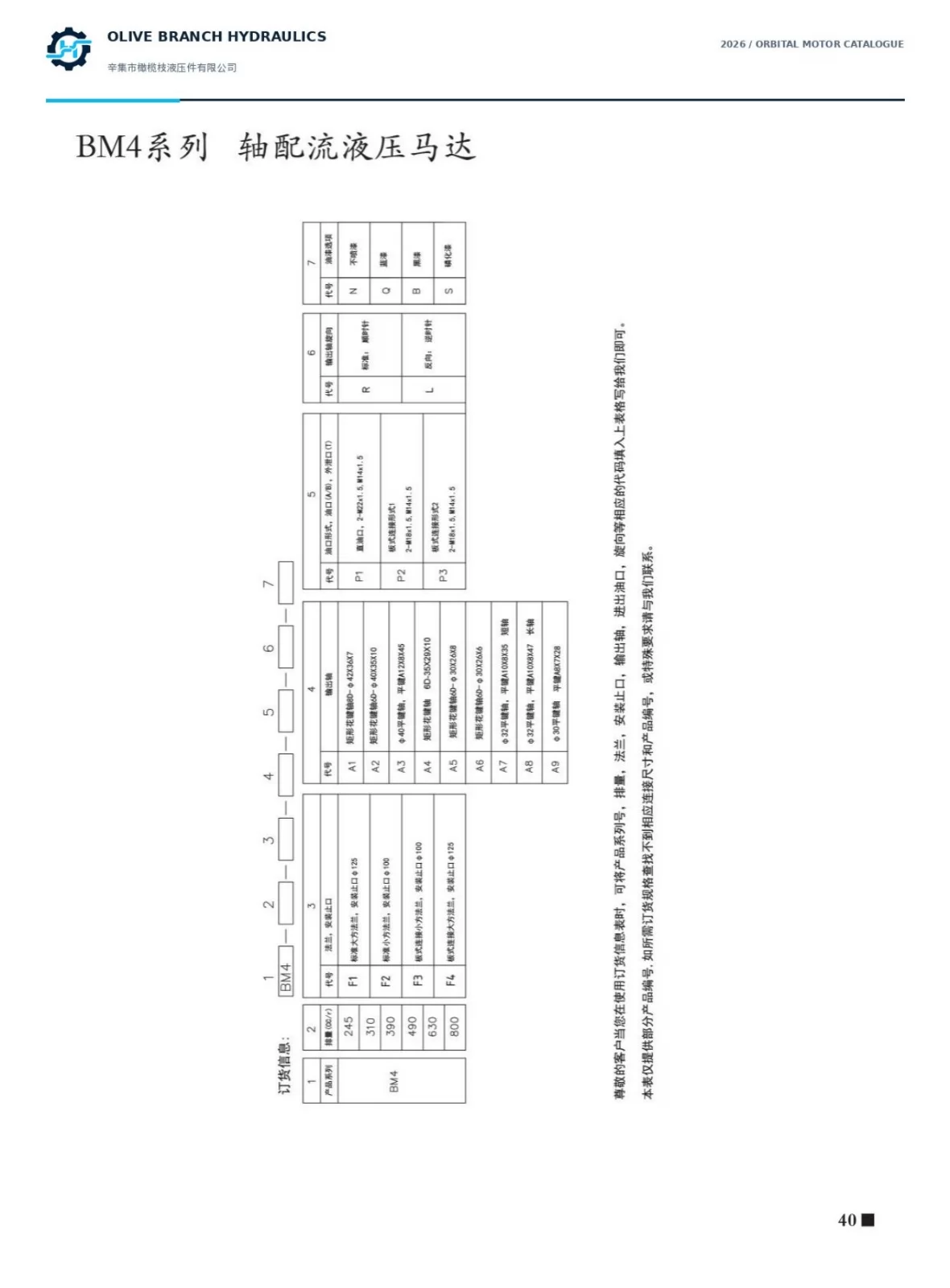 BM4 displacement flange shaft port rotation paint ordering fields, catalogue page40