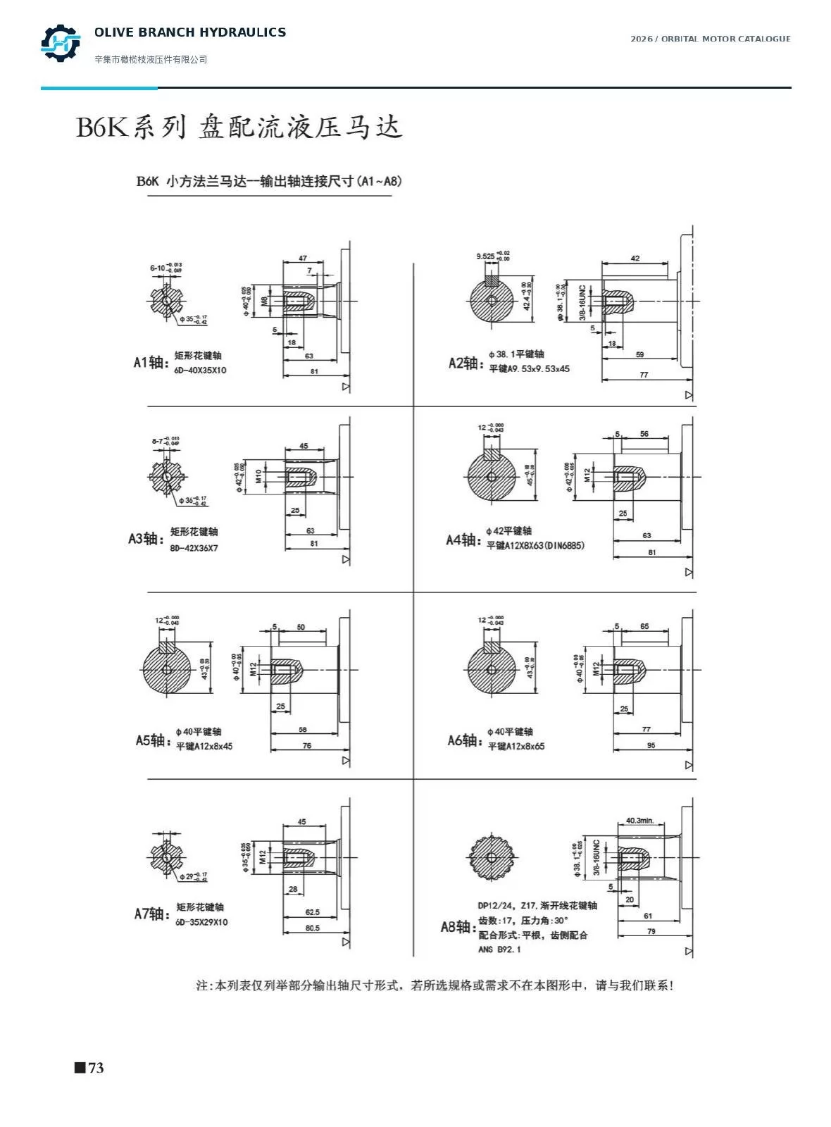 B6K small-flange output shaft drawings A1 to A8 P73