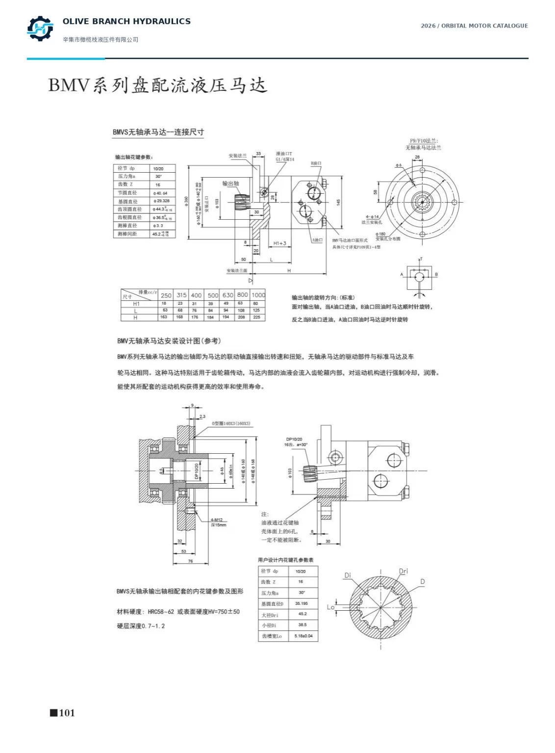 BMVS catalogue P101 bearingless F9 F10 coupling and installation drawing, external bearings and open oil passages required