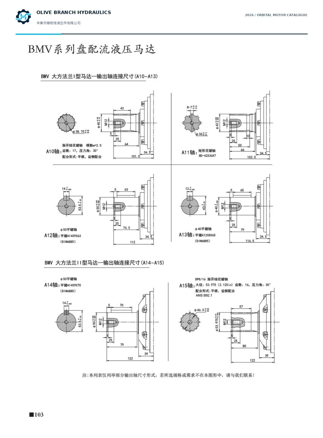 BMV catalogue P103 A10 to A15 large flange output shafts, module and DP splines are different