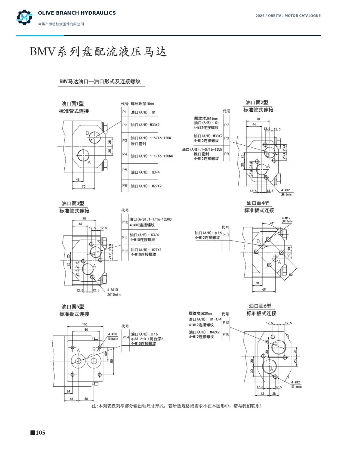 BMV catalogue P105 sixteen main port packages and separate bolt depths; P10 to P12 bolt thread discrepancy needs confirmation