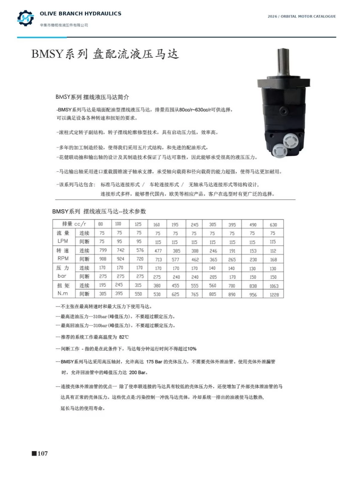 BMSY catalogue P107 ten nominal sizes and continuous intermittent reference ratings; curve conflicts require confirmation