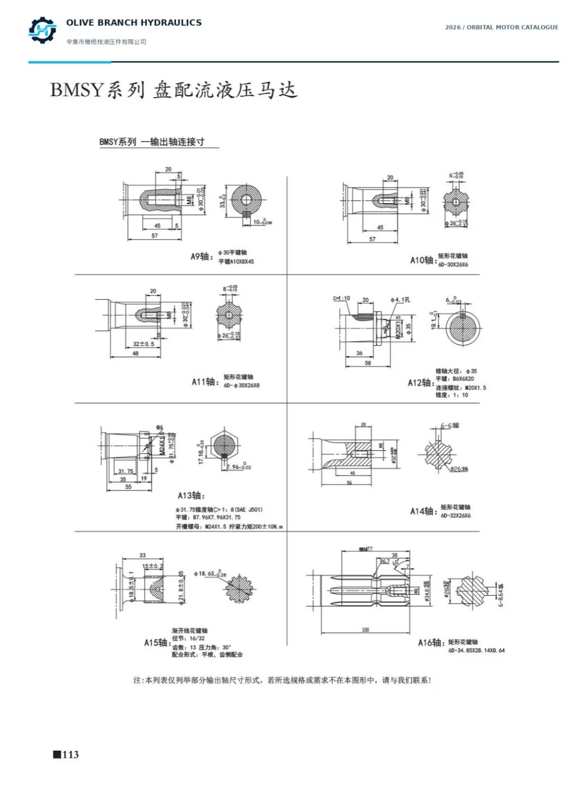 BMSY catalogue P113 output shafts A9 to A16; A13 taper shaft nut torque is configuration specific