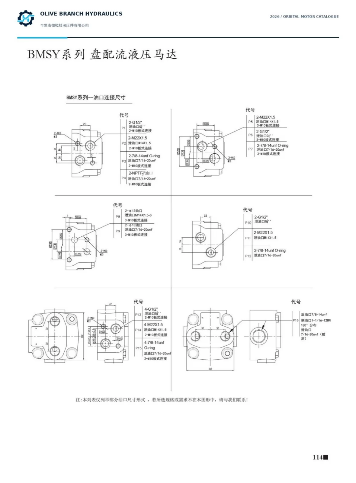 BMSY catalogue P114 sixteen main port patterns and drains, separate fluid threads from mounting bolts