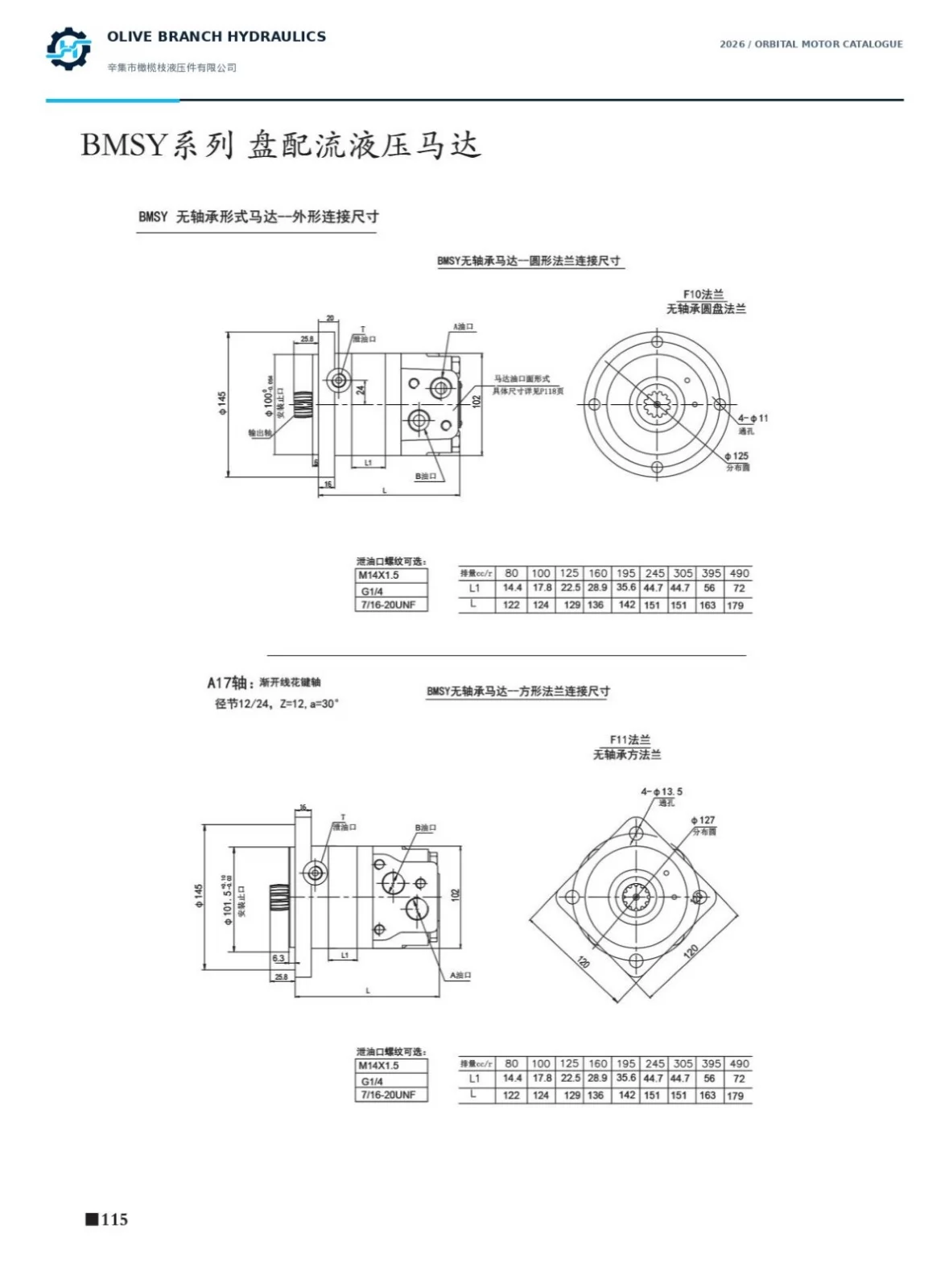 BMSY catalogue P115 bearingless F10 F11 dimensions and A17 12 tooth 12 24 DP spline, external bearing support required