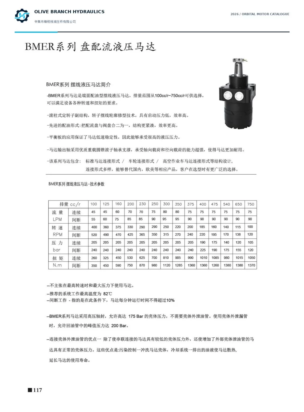 BMER 100–750 motor technical ratings and construction, catalogue page 117