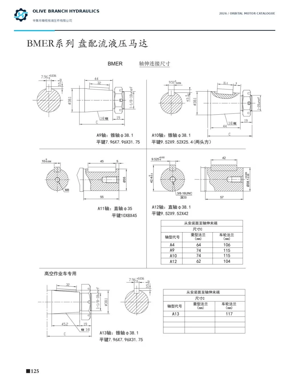 BMER output shaft options A9–A13 dimensions, page 125
