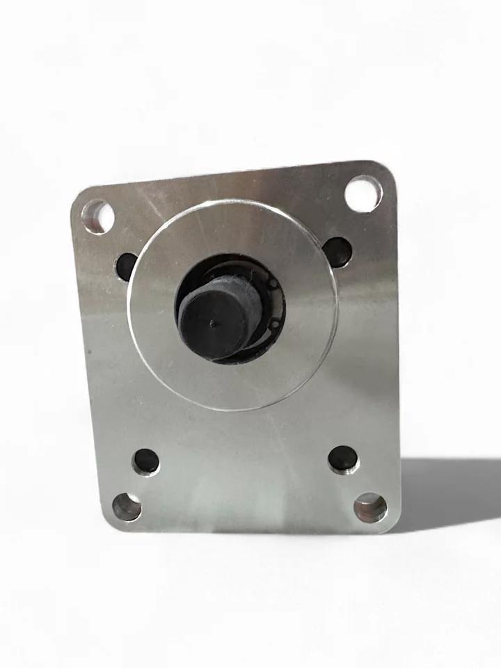 NSH10-10-4 reference pump - four-hole mounting flange and covered shaft